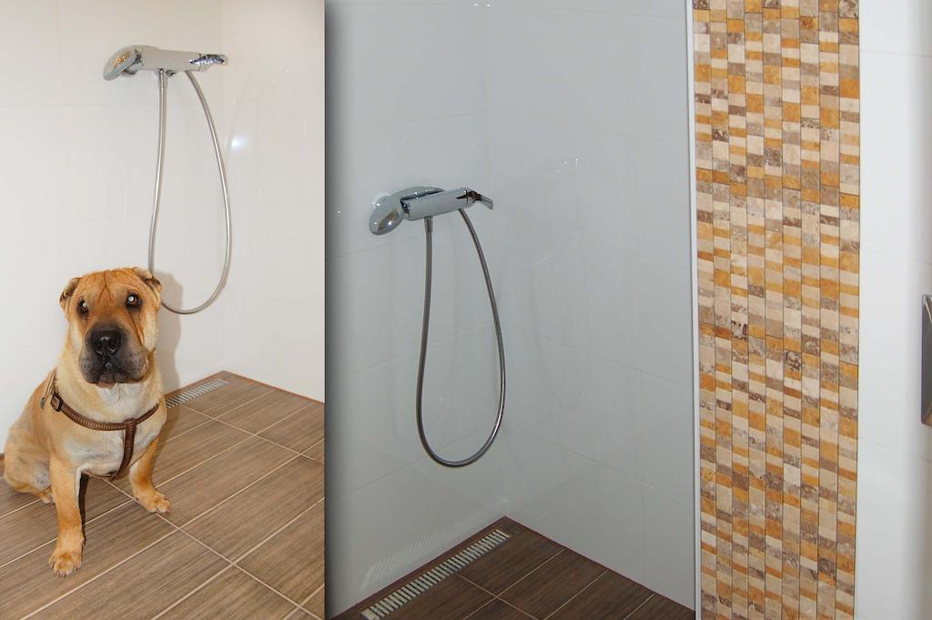 Apartman Solisko วิสโซเค ดาตรี ห้อง รูปภาพ